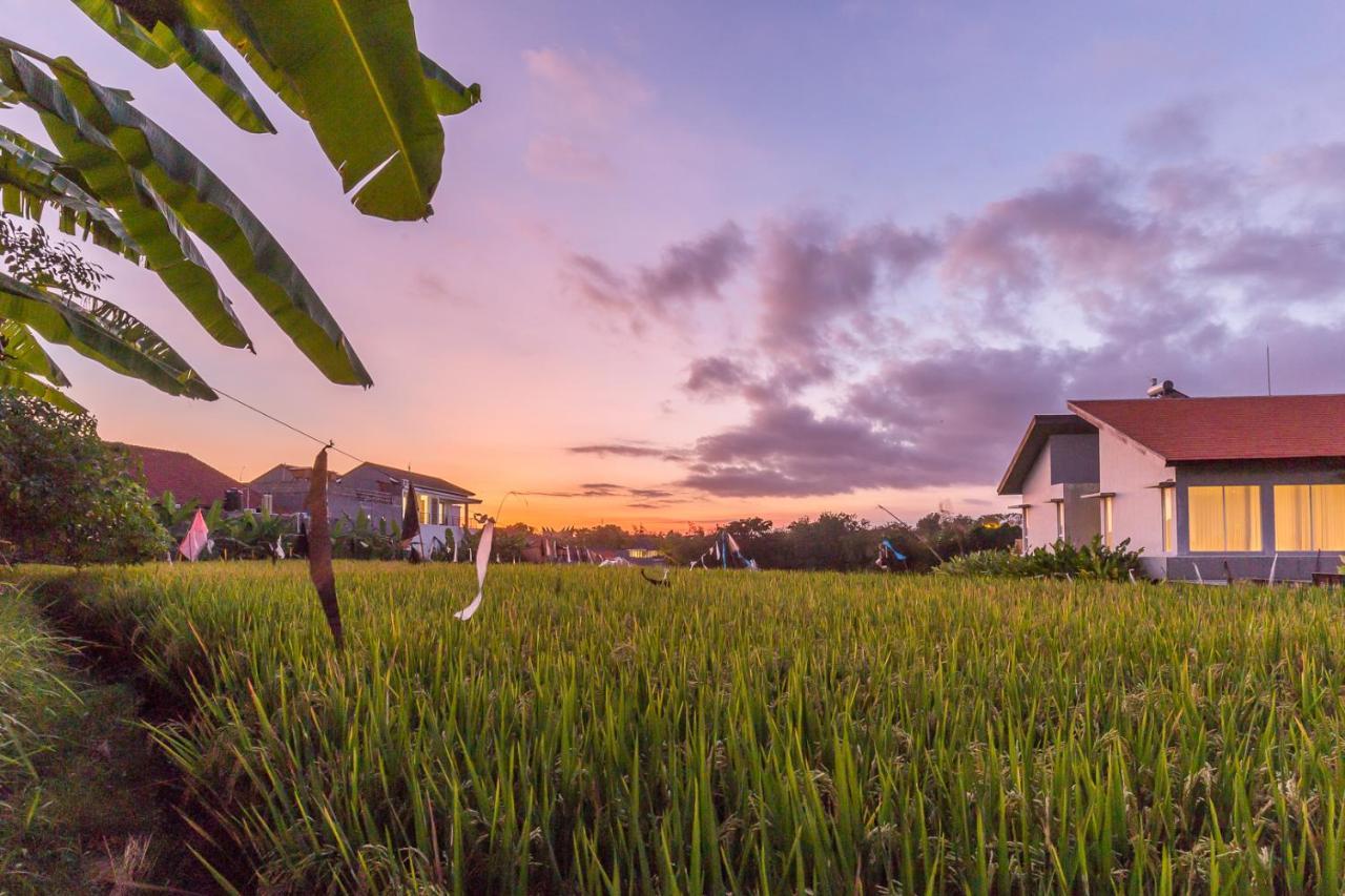 Charming Ricefield View 3 Bedrooms Villa Canggu Extérieur photo
